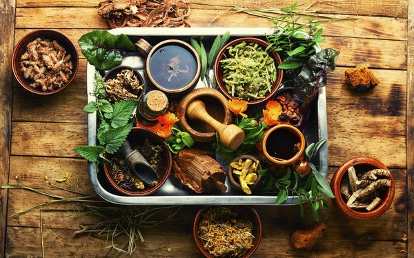 Est-il conseillé d'emporter une trousse à pharmacie homéopathique en camping nature?